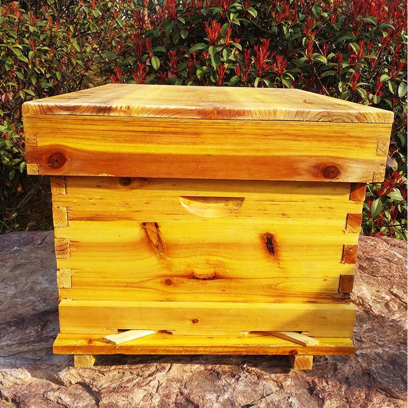 Juego completo de herramientas - Beehive Frame Wax reseña y precio